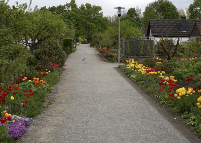 Die Hauptwege der Mülheimer Kleingartenanlagen sind für jeden öffentlich zugänglich