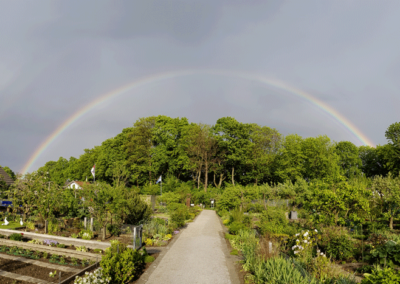 Regenbogen über einer Kleingartenanlage