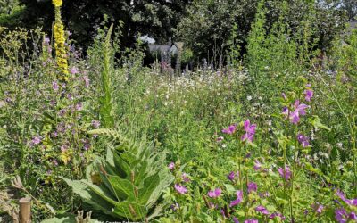 eingeschränkter Geschäftsstellen­betrieb während der Sommerferien