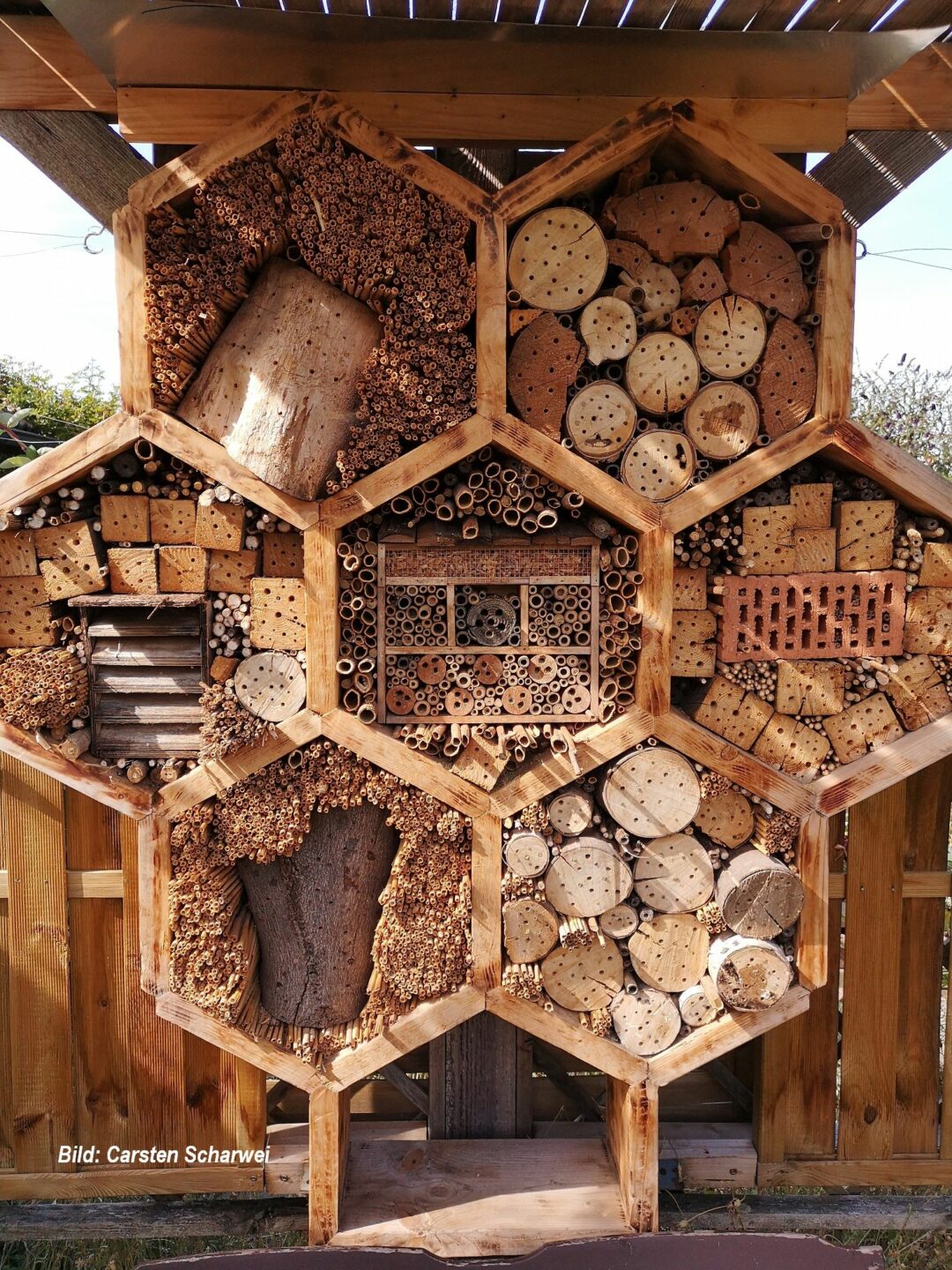 Insektenvielfalt im Kleingarten – Ein Platz für Tiefbauexperten